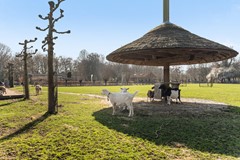 Vreeswijkstraat 417_37.jpg